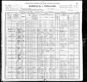 Butler, Lucy A, 1900, Census, USA, Paragoonah, Iron, Utah