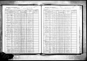 Bratt, Edgar, 1905, Census, New York, Albany Ward 15, Albany, New York Bratt, Edgar, 1905, Census, New York, Albany Ward 15, Albany, New York