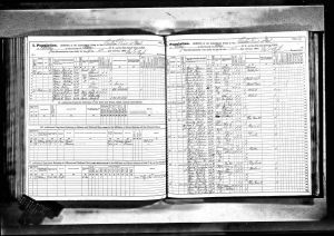 Millwain, James, 1865, Census, New York, Albany, Albany, New York Millwain, James, 1865, Census, New York, Albany, Albany, New York