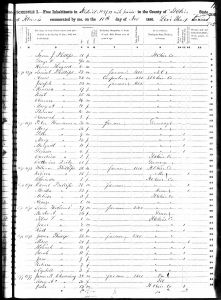 Holcomb, Lewis, 1850, Census, USA, Twelve Mile Prairie, St Clair, Illinois, USA Holcomb, Lewis, 1850, Census, USA, Twelve Mile Prairie, St Clair, Illinois, USA