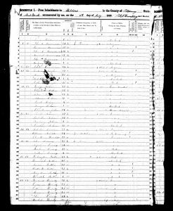 Heintz, John Reinhart, 1850, Census, USA, Sheldon, Wyoming, New York, USA
