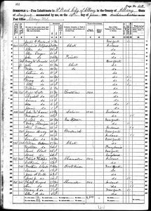 Bratt, Henry, 1860, Census, USA, Albany Ward 10, Albany, New York