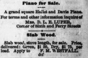 Albany_Democrat_1876_06_03_3