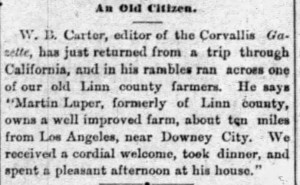 Albany_Democrat_1880_04_16_3