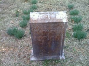 21767582_130085249248 21767582_130085249248